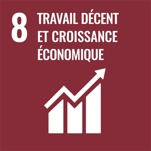 Objectif de développement durable 8 — Travail décent et croissance